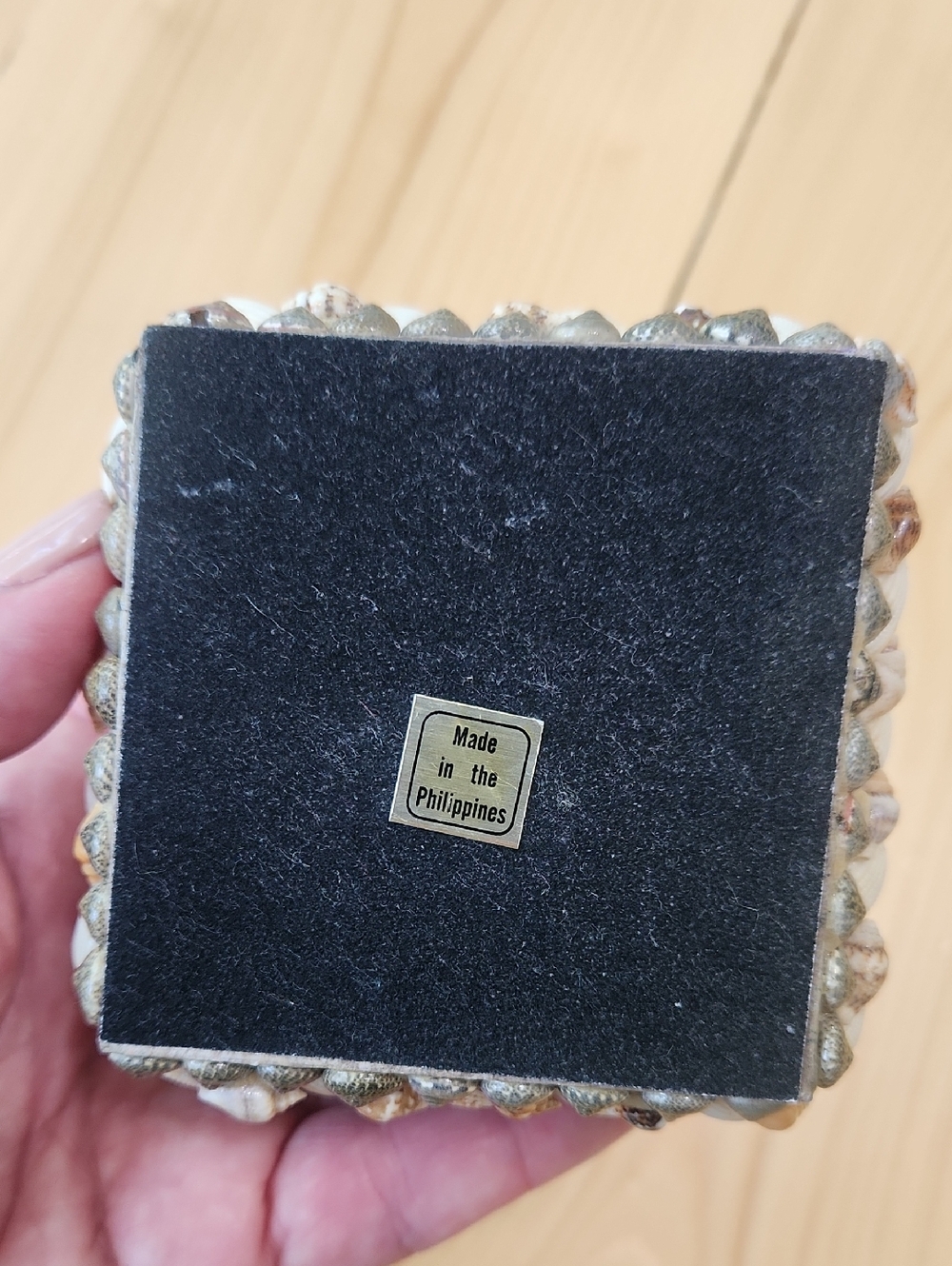 Vintage Sea Shell Trinket Box Black Velvet Lined Coastal Jewelry Keepsake Case - Picture 9 of 13